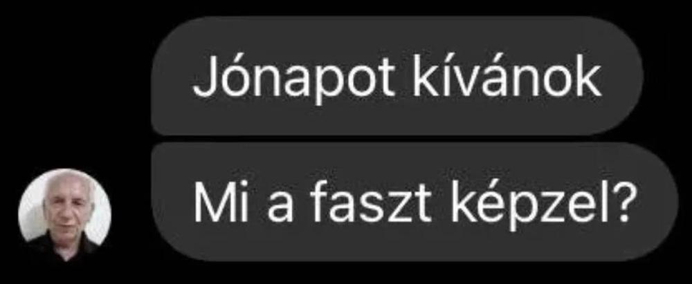 Kutyapárt
