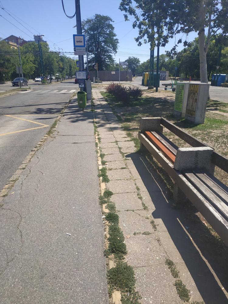 Elhanyagolt trolimegálló