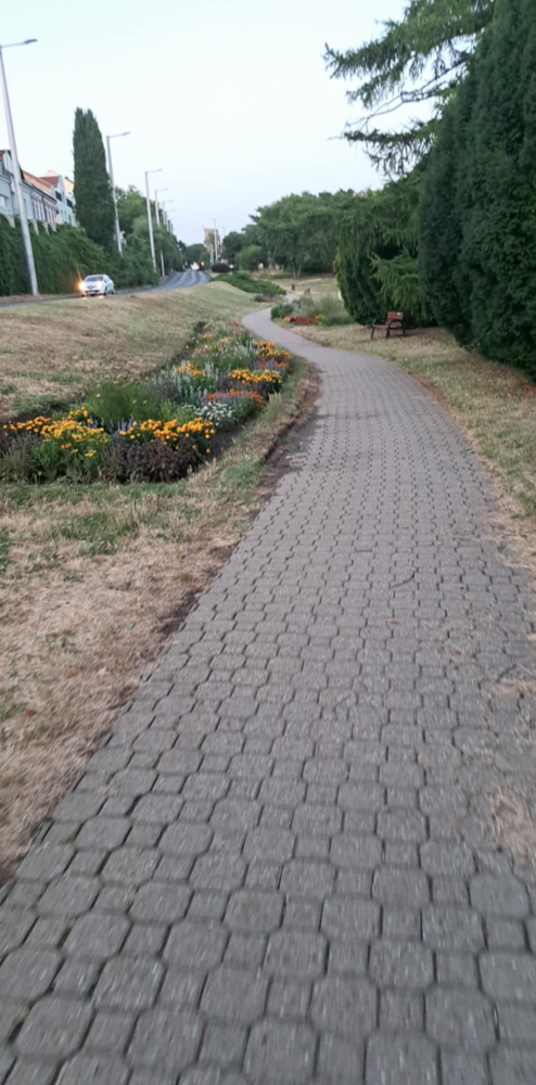 Kutyakaki zacskós kuka