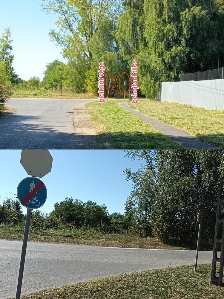 Táblák erdejében 