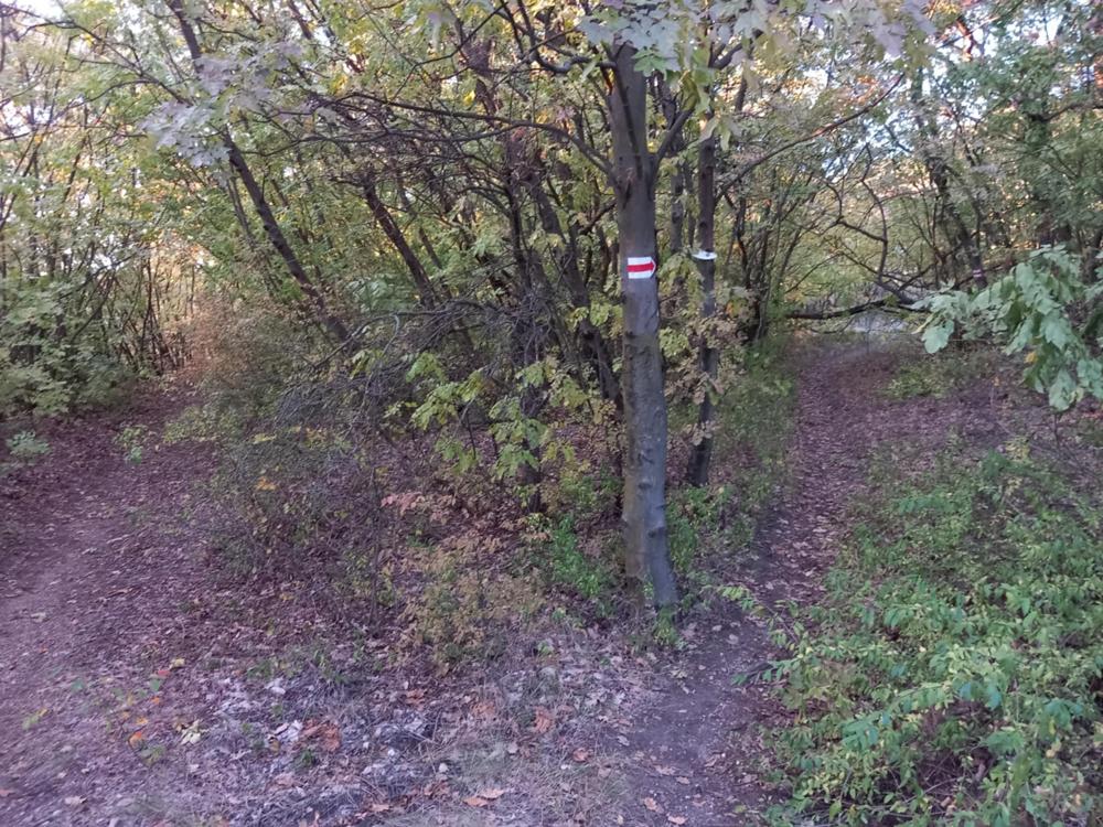 Hiányzó természetvédelmi tábla