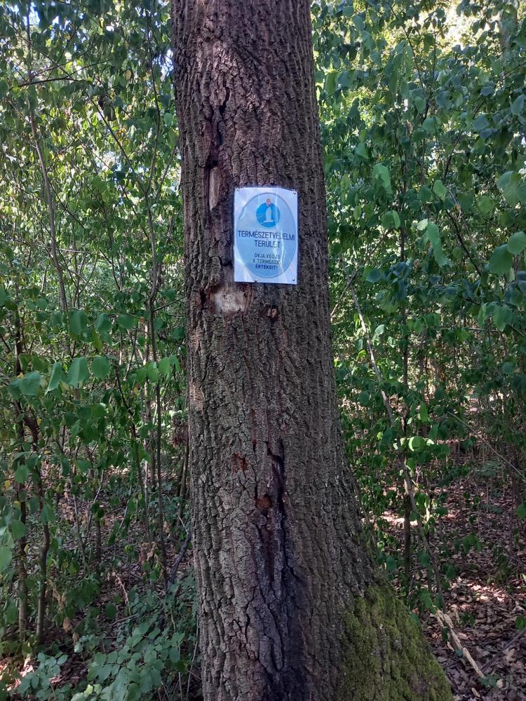 Hiányzó természetvédelmi tábla